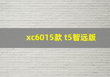 xc6015款 t5智远版